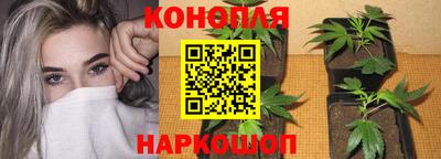 метадон Дубна