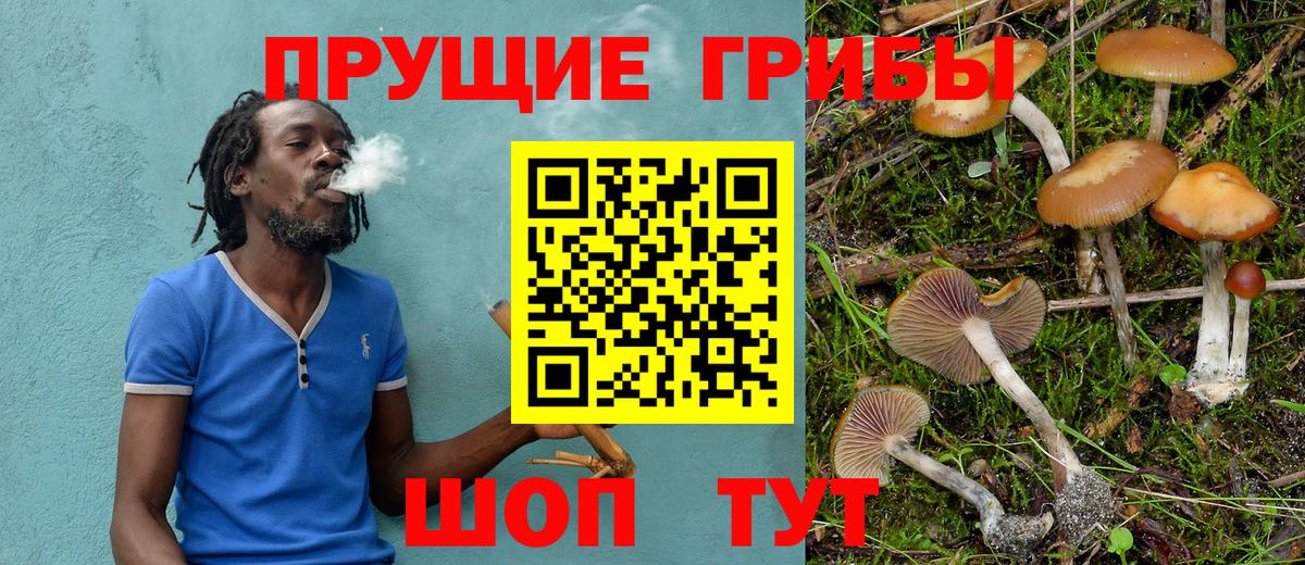 Галлюциногенные грибы мицелий Верхняя Пышма